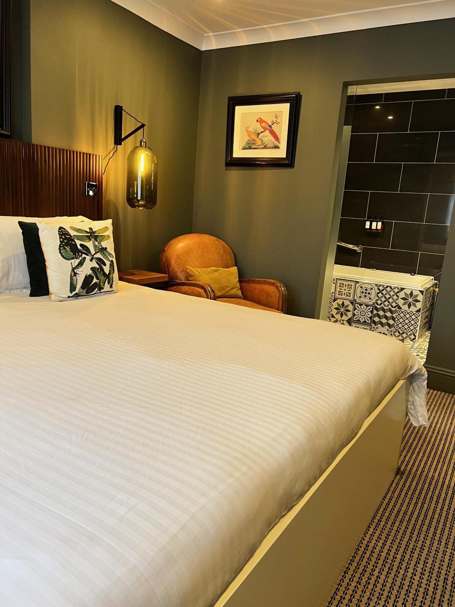 Rockmount Rooms & Apartment タヴィストック エクステリア 写真